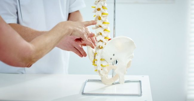 Chiropractor expectations in Boise