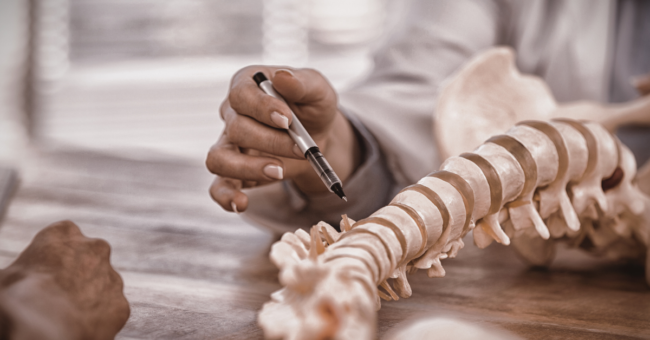 doctor showing a spine to a patient
